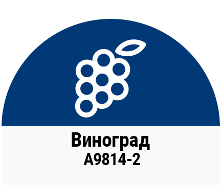 Grape matt a9814-2